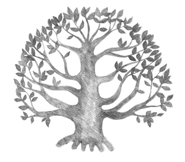 Árbol de la vida, sketch — Foto stock © liliya #2373525 Árbol de la vida, sketch — Foto stock © liliya #2373525