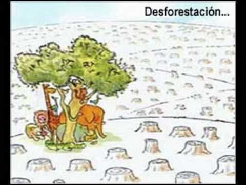 Dia del arbol - YouTube