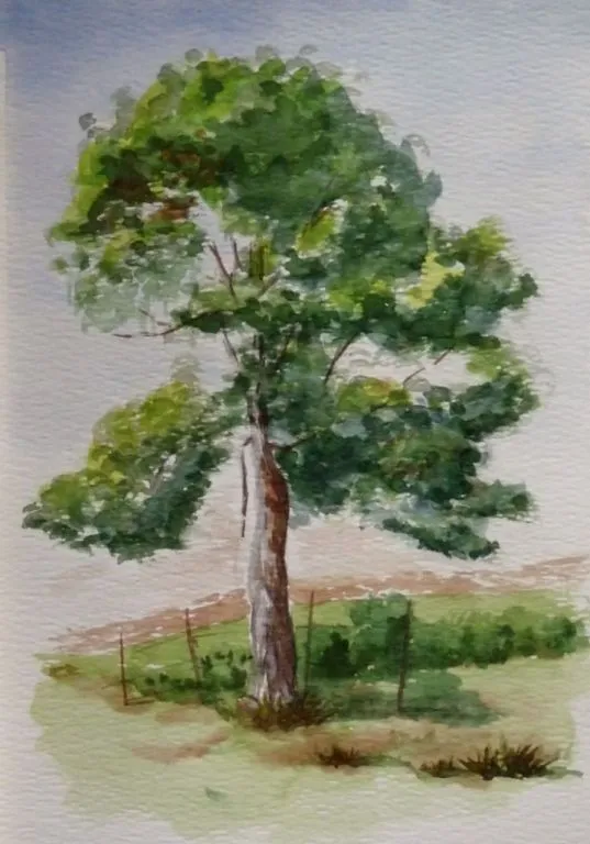 Arboles en acuarelas - Imagui