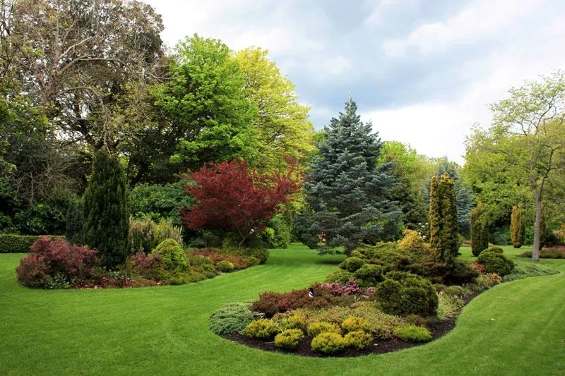 Árboles, arbustos y flores en los jardines de Merrion Square, Dublín Árboles, arbustos y flores en los jardines de Merrion Square, Dublín