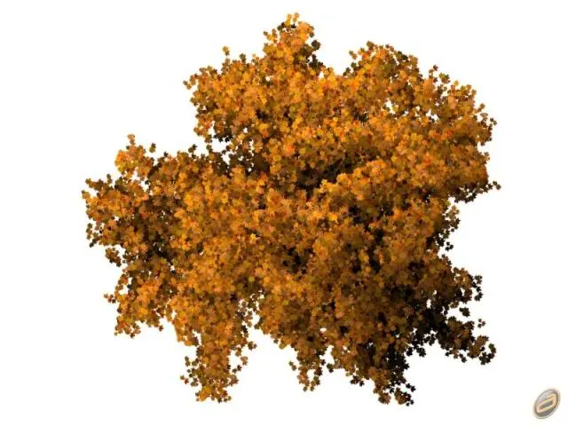 Arboles Autocad Photoshop: Árboles en Planta. Imágenes Arboles Autocad Photoshop: Árboles en Planta. Imágenes