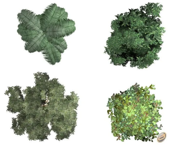 Arboles Autocad Photoshop: Árboles en Planta. Imágenes Arboles Autocad Photoshop: Árboles en Planta. Imágenes