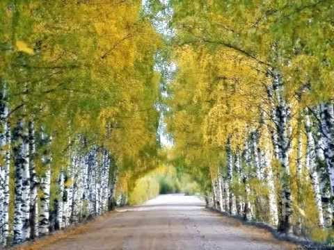 Arboles en el camino - YouTube