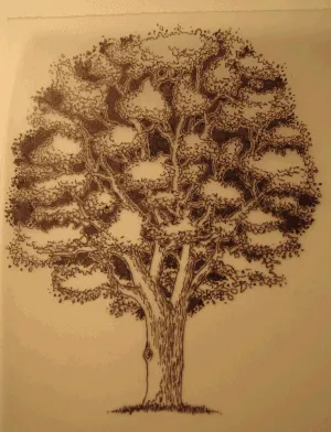 Arboles dibujados a lapiz - Imagui