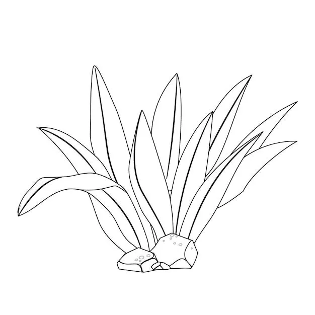 Árboles dibujados a mano para colorear páginas para niños. ilustración de esquema de vector de concepto. bosquejo | Vector Premium Árboles dibujados a mano para colorear páginas para niños. ilustración de esquema de vector de concepto. bosquejo | Vector Premium