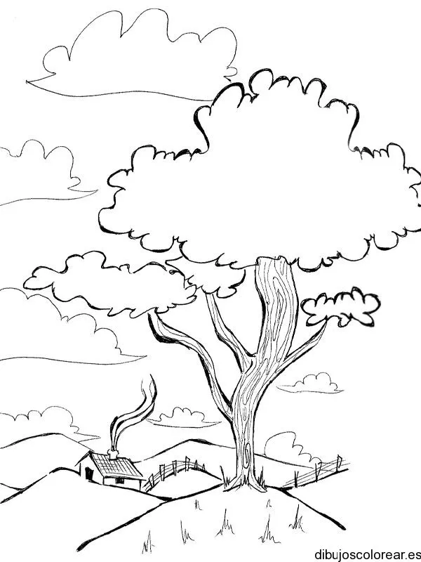 Dibujos para Colorear