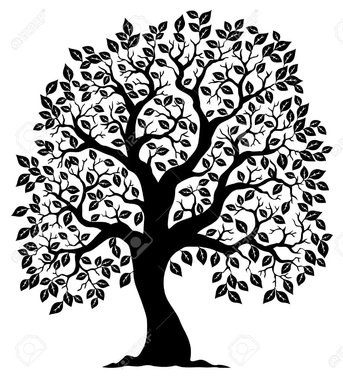 Arbol Frondoso Imágenes De Archivo, Vectores, Arbol Frondoso Fotos ...
