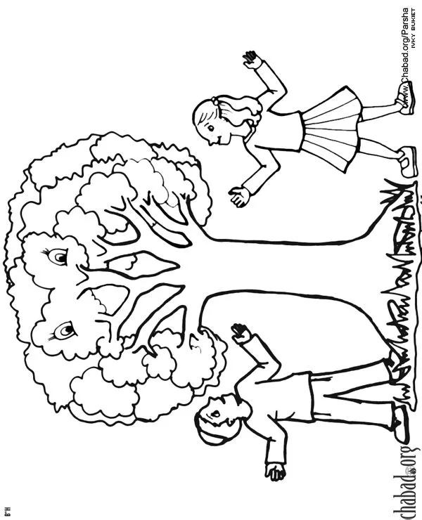 Sembrar un arbol para colorear - Imagui
