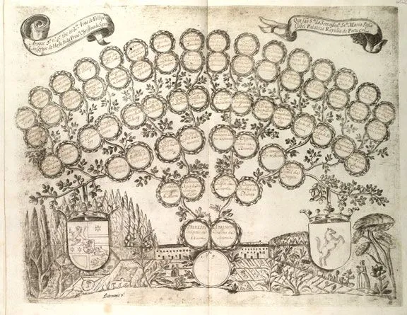 Arboles genealogicos creativos - Imagui