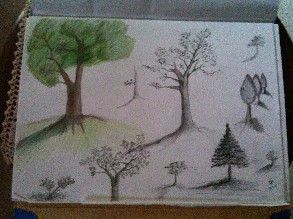 Árboles a lápiz | Urban Sketchers Guadalajara Árboles a lápiz | Urban Sketchers Guadalajara
