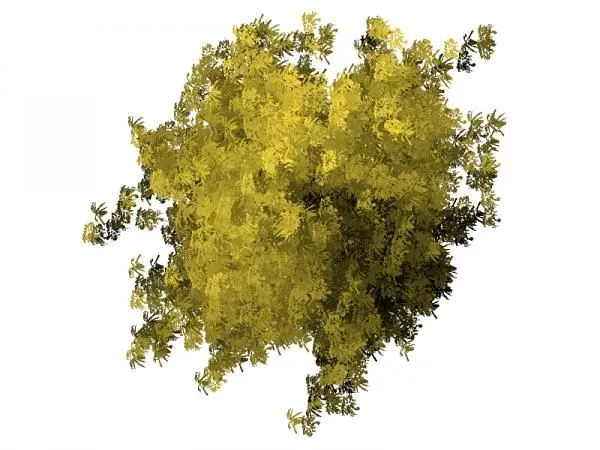 arboles photoshop en planta - Buscar con Google | photoshop ... arboles photoshop en planta - Buscar con Google | photoshop ...