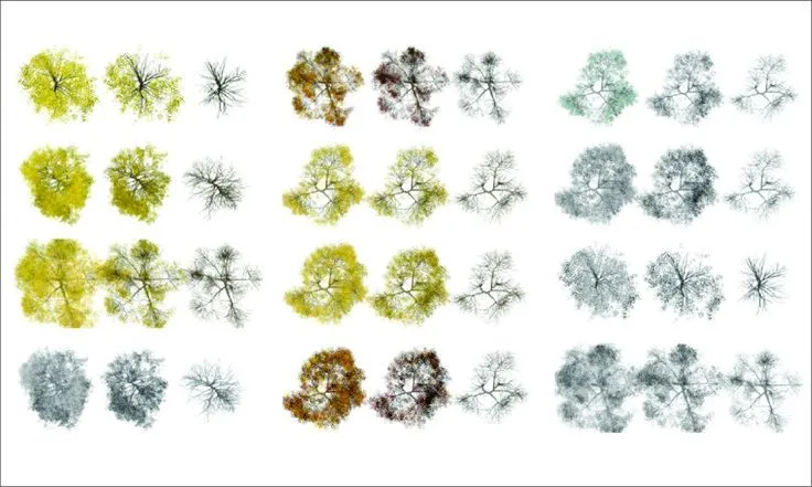 arboles en planta png - Buscar con Google | Ayudas al dibujo ... arboles en planta png - Buscar con Google | Ayudas al dibujo ...