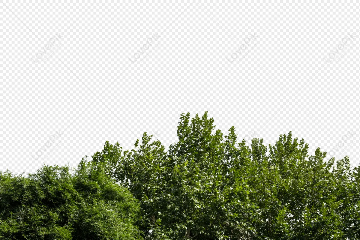 Arboles PNG Imágenes con Fondo Transparente | Descarga Gratuita en Lovepik.com Arboles PNG Imágenes con Fondo Transparente | Descarga Gratuita en Lovepik.com
