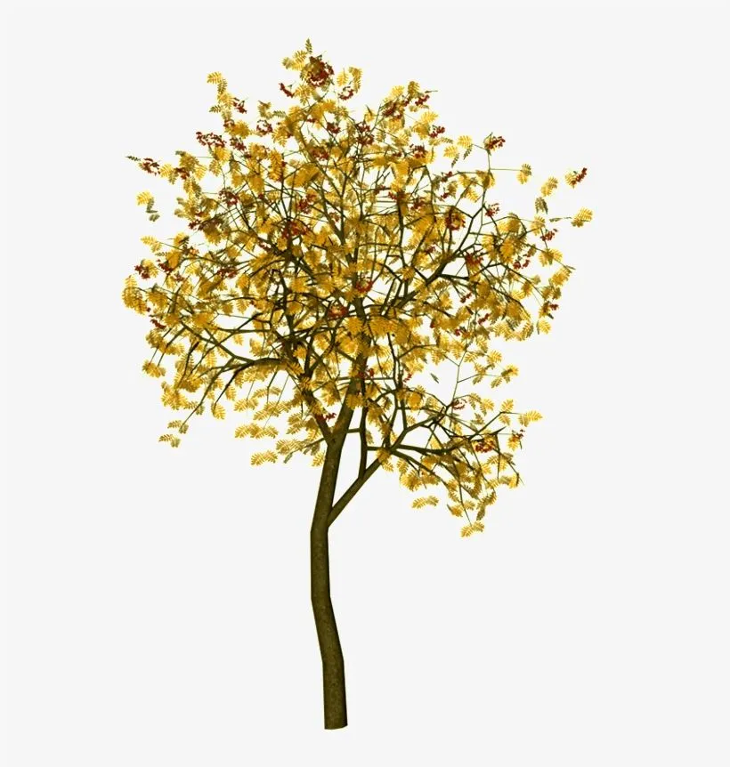 Arboles Png, Paisajismo, Armaduras, Montajes, Arquitectura, - Trees Png Plan PNG Image | Transparent PNG Free Download on SeekPNG Arboles Png, Paisajismo, Armaduras, Montajes, Arquitectura, - Trees Png Plan PNG Image | Transparent PNG Free Download on SeekPNG