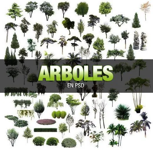Arboles PSD | Gerardo Vivas