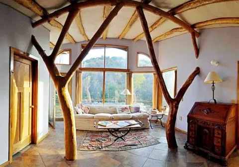Árboles y ramas para decorar el interior