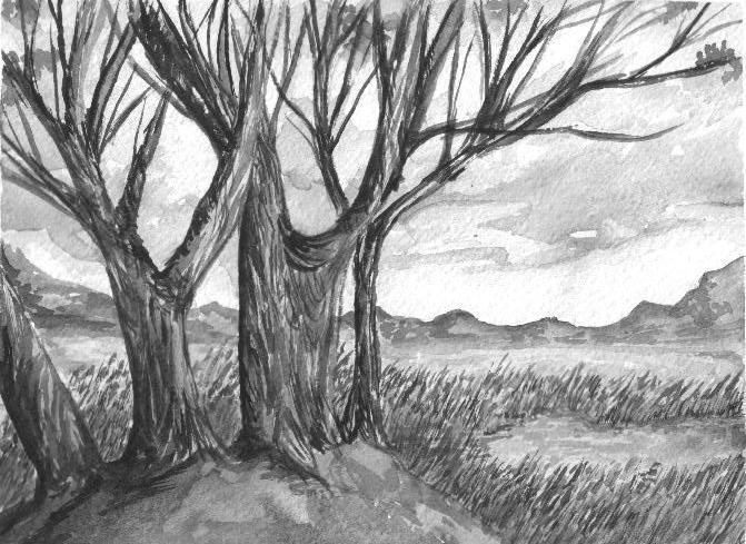 De arboles secos - Imagui