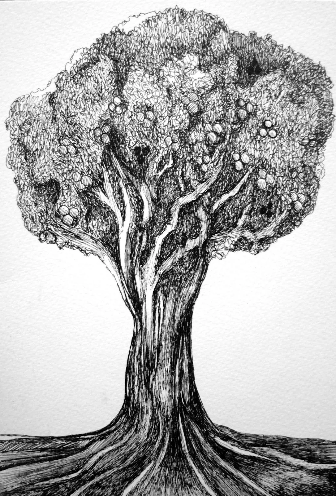 Árbol" Dibujo realizado por Paula Plaza | Paula Plaza Moreno Árbol" Dibujo realizado por Paula Plaza | Paula Plaza Moreno