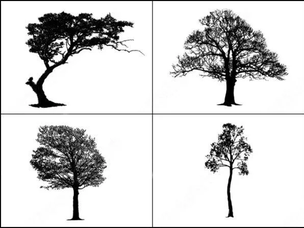 Ejemplo de archivo de árbol principal vector y el pincel photoshop ... Ejemplo de archivo de árbol principal vector y el pincel photoshop ...