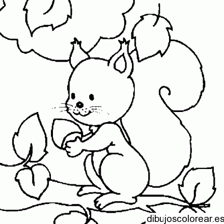 Una ardilla | Dibujos para Colorear