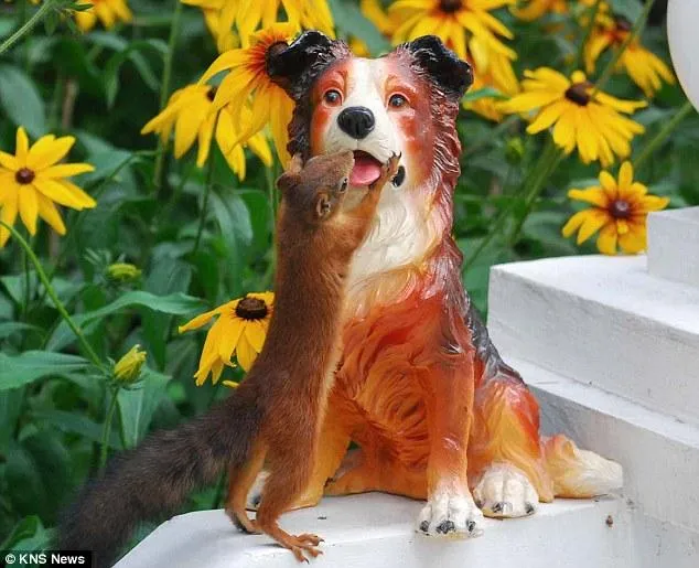 Una ardilla enamorada de un perro - Paperblog Una ardilla enamorada de un perro - Paperblog