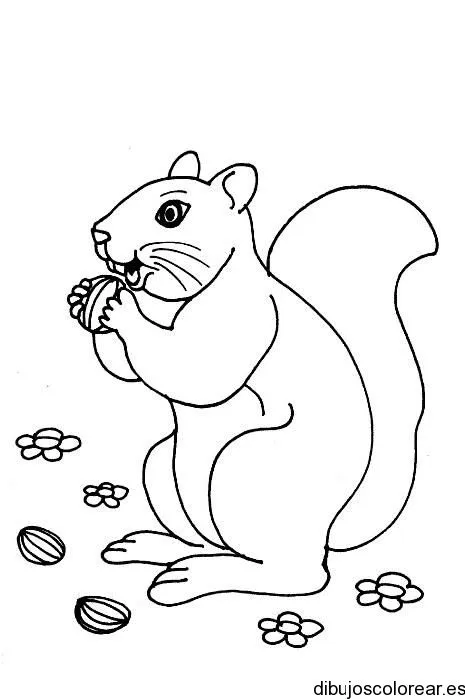 Ardillas | Dibujos para Colorear