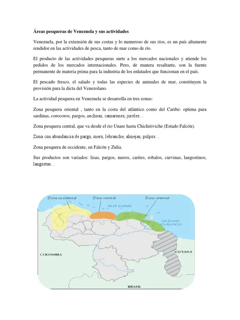Áreas Pesqueras de Venezuela y Sus Actividades | PDF | Venezuela | Militar Áreas Pesqueras de Venezuela y Sus Actividades | PDF | Venezuela | Militar