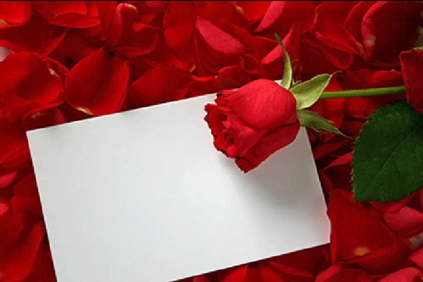 ARESTRA 7: rosa gif