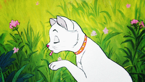 Imagenes de la gatita duquesa de los aristogatos - Imagui Imagenes de la gatita duquesa de los aristogatos - Imagui