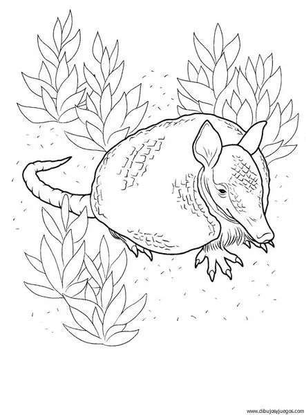 armadillo-01 | Dibujos y juegos, para pintar y colorear