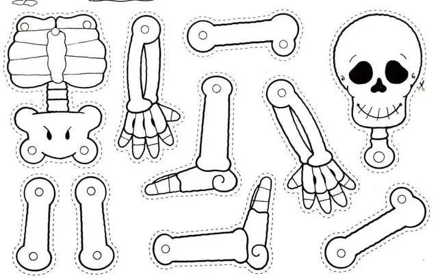 Como armar un esqueleto movil - Imagui