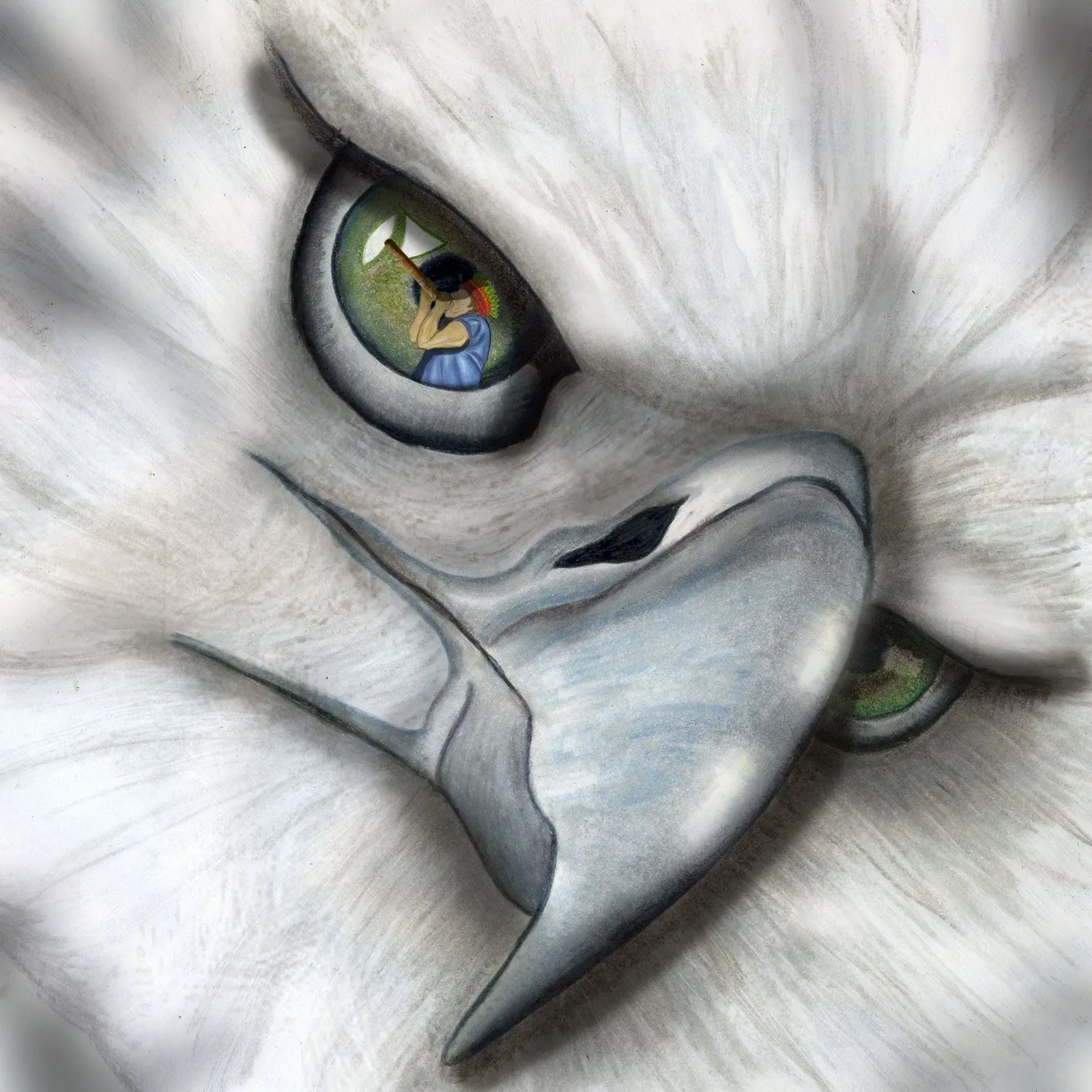 arpia 2 f zool aguila poderosa de plumaje blanco y plomizo ...