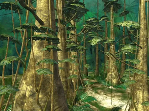 Selva.PNG