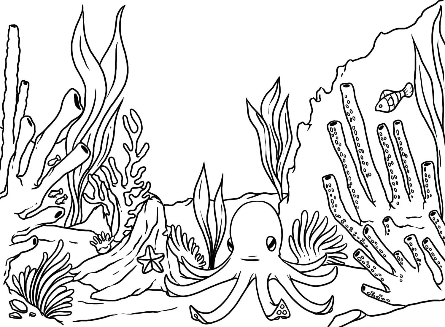 arrecifes de coral Colouring Pages