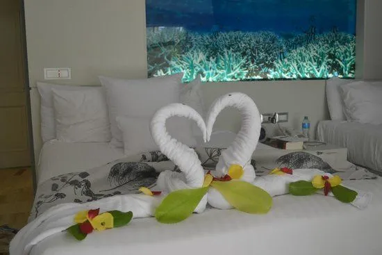 Arreglo de cisnes de toallas hecho por Yahaia de Jesus: fotografía ...