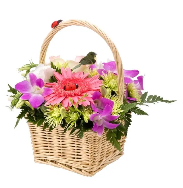 GIFS HERMOSOS: HERMOSSA CANASTAS DE FLORES Y ROSAS encontradas en ... GIFS HERMOSOS: HERMOSSA CANASTAS DE FLORES Y ROSAS encontradas en ...