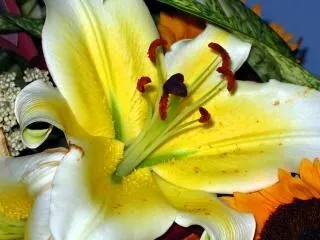 arreglos florales chino | Descargar Fotos gratis