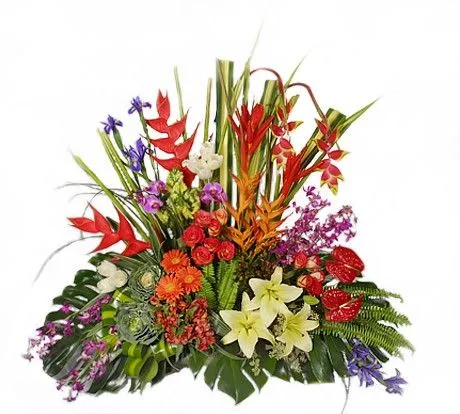 La Fleur Floreria - Envio el mismo dia: Arreglos de Flores para ... La Fleur Floreria - Envio el mismo dia: Arreglos de Flores para ...