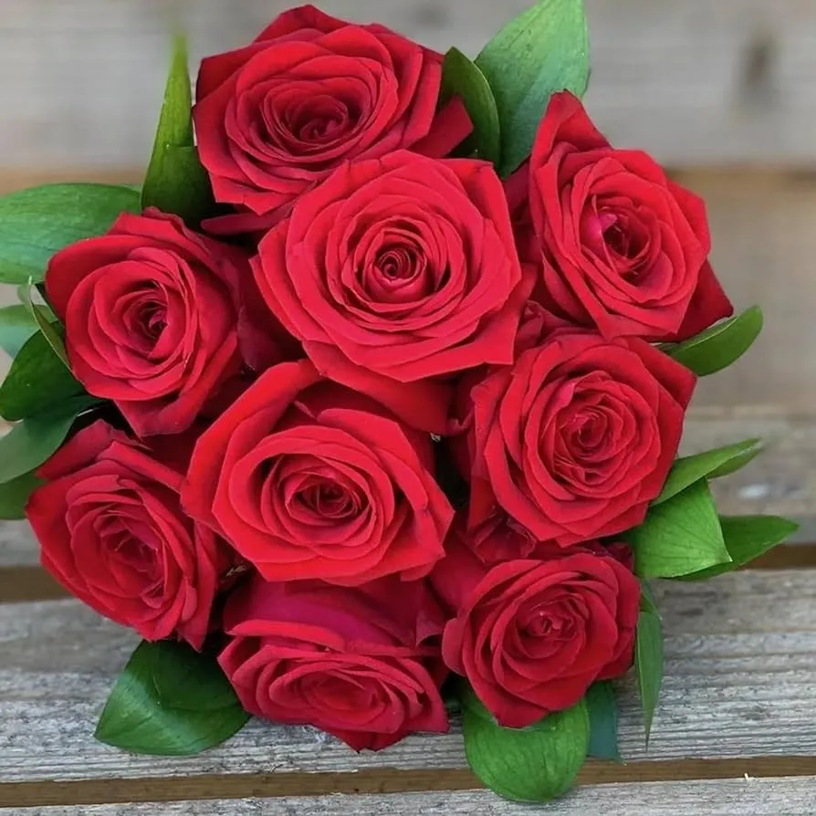 Arreglos florales de semillas de rosas rojas, hermosas flores, fronteras, setos, contenedores para jardines al aire última intervensión, 5 piezas de semillas de flores : Amazon.com.mx: Hogar y Cocina Arreglos florales de semillas de rosas rojas, hermosas flores, fronteras, setos, contenedores para jardines al aire última intervensión, 5 piezas de semillas de flores : Amazon.com.mx: Hogar y Cocina