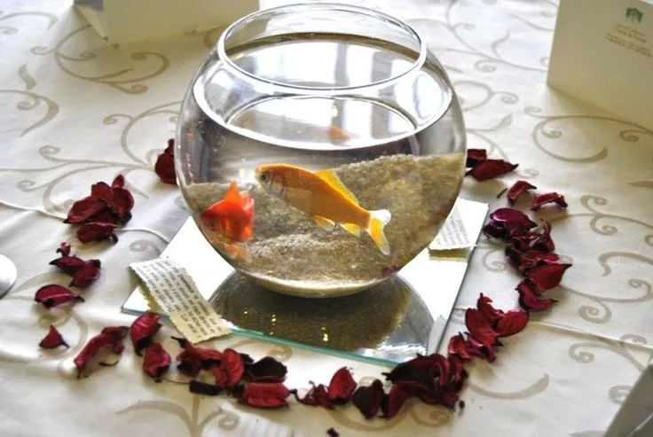 arreglos de mesa para boda con peceras y peces - Buscar con Google ...