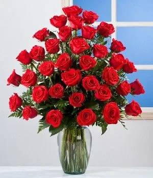 arreglos de rosas rojas medellin arreglos de rosas rojas medellin