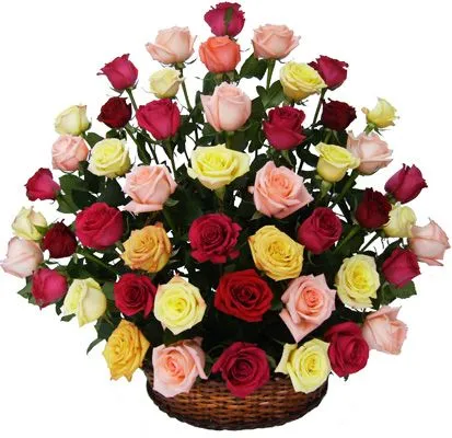 Arreglos con Rosas, Rosas del Chicó