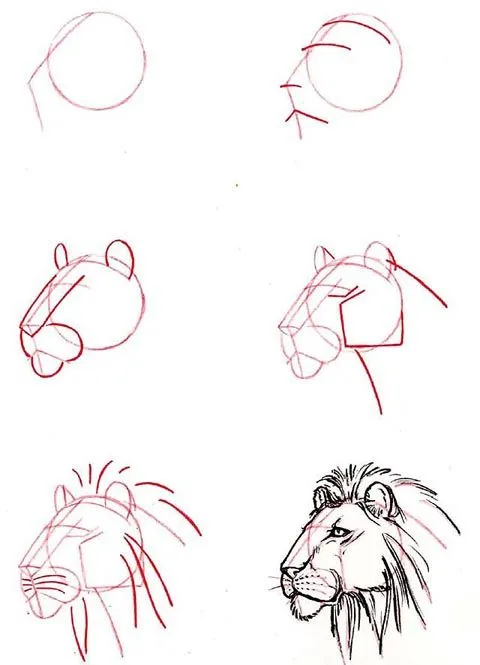 ART AND CRAFT: Como dibujar animales