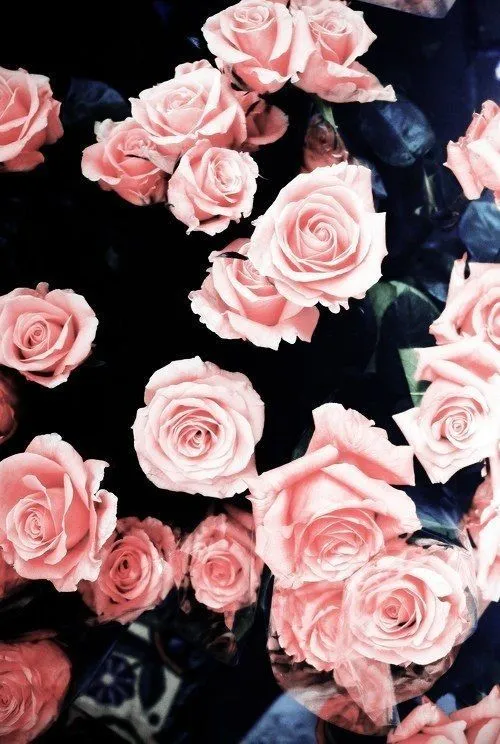 Art on Pinterest | Rose Paintings, Manualidades and Calendar Art on Pinterest | Rose Paintings, Manualidades and Calendar
