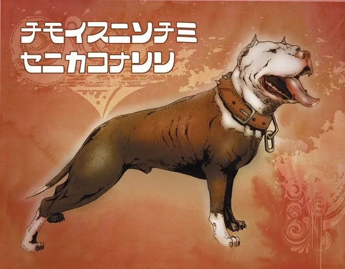 Perros pitbull en dibujos - Imagui