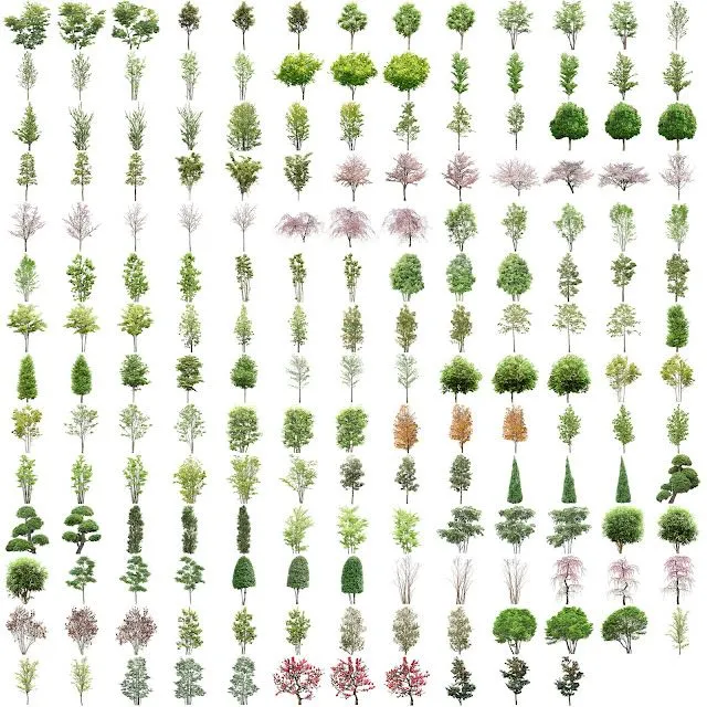 Arte+ ]: Arboles y Siluetas