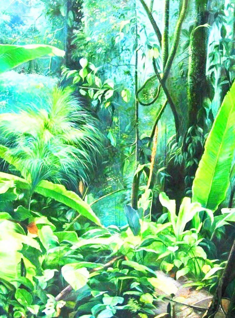 Arte: Cuadros bosques tropicales, "Naturaleza al Óleo" | Imágenes ... Arte: Cuadros bosques tropicales, "Naturaleza al Óleo" | Imágenes ...