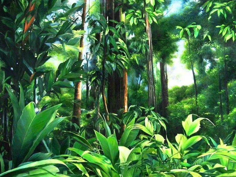 Arte: Cuadros bosques tropicales, "Naturaleza al Óleo" | Arte ... Arte: Cuadros bosques tropicales, "Naturaleza al Óleo" | Arte ...