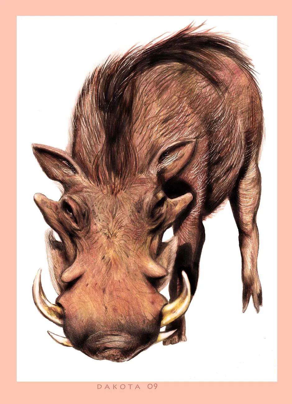 arte dakota: Animal planet presenta…..
