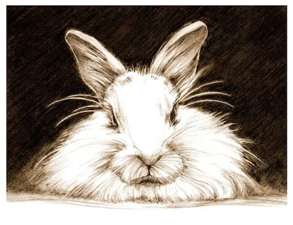 Arte dibujo a lápiz conejo arte Sketch de conejo por cmqstudio